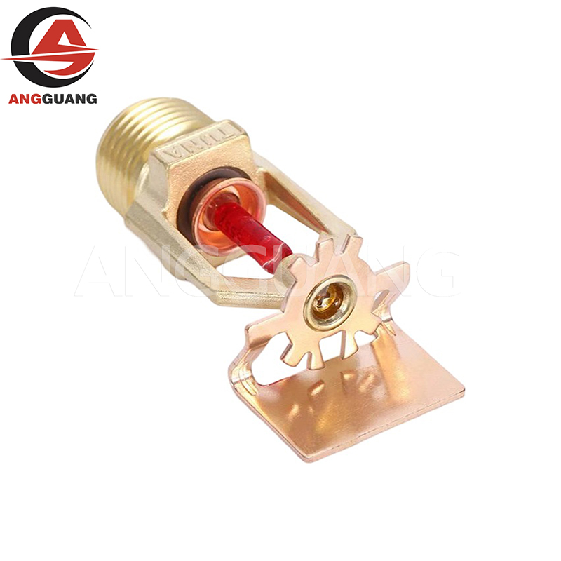 Fire Sprinkler System