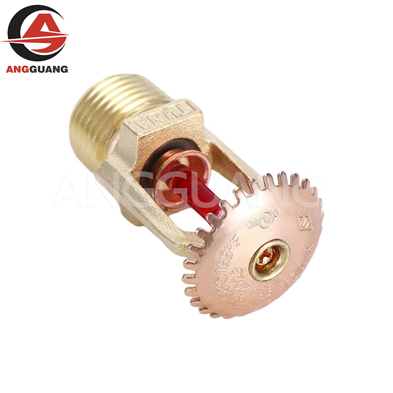 Fire Sprinkler System