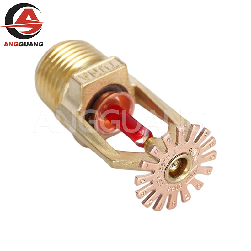 Fire Sprinkler System