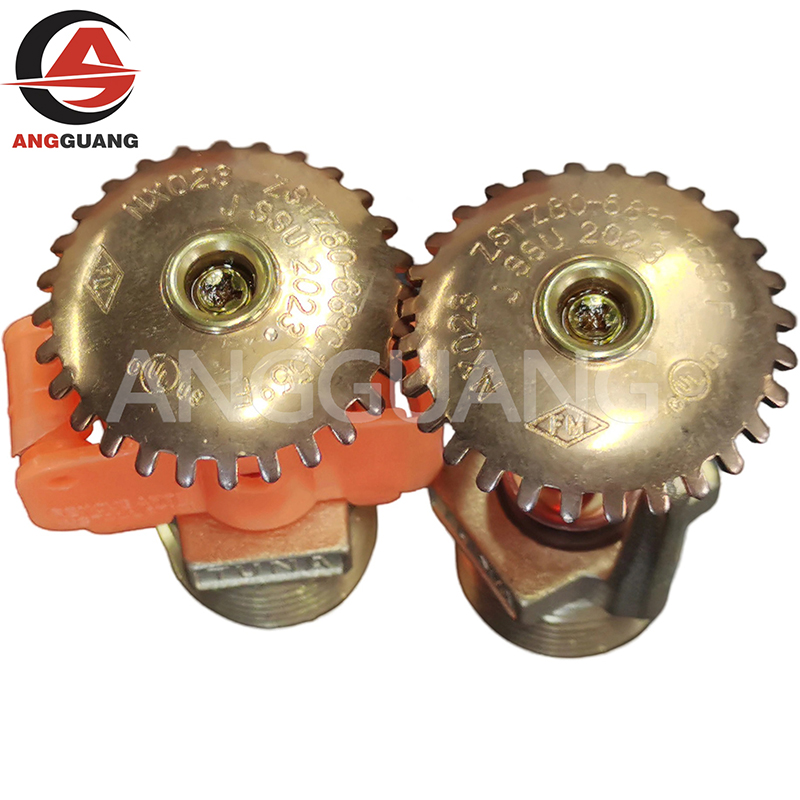 Fire Sprinkler System