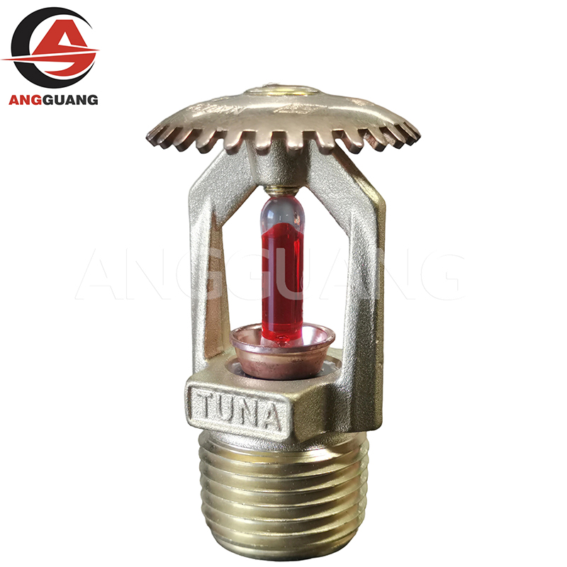 Fire Sprinkler System