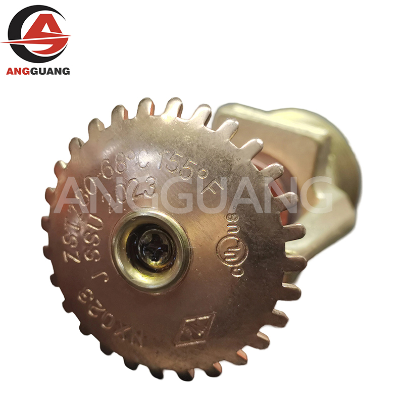 Fire Sprinkler System