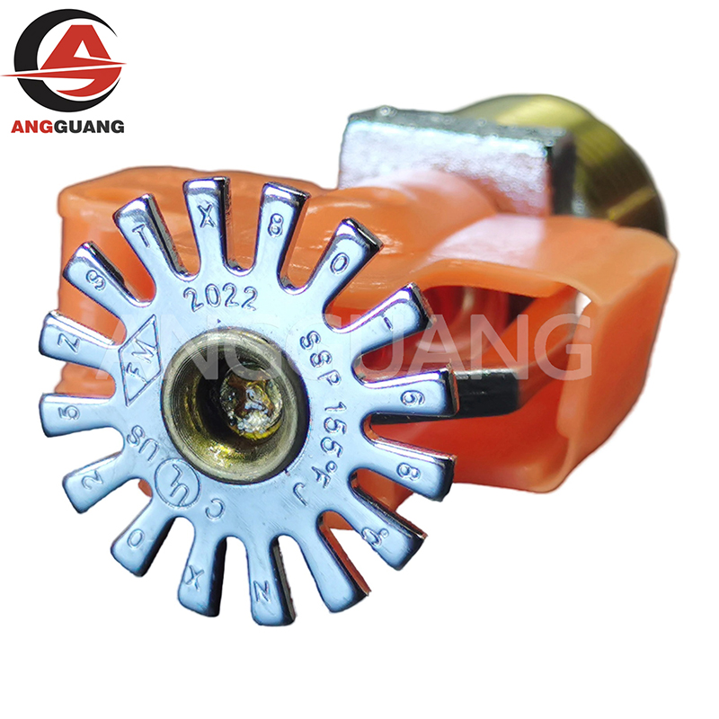 Fire Sprinkler System