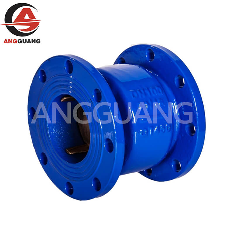 Check Valve