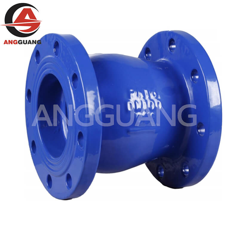 Check Valve