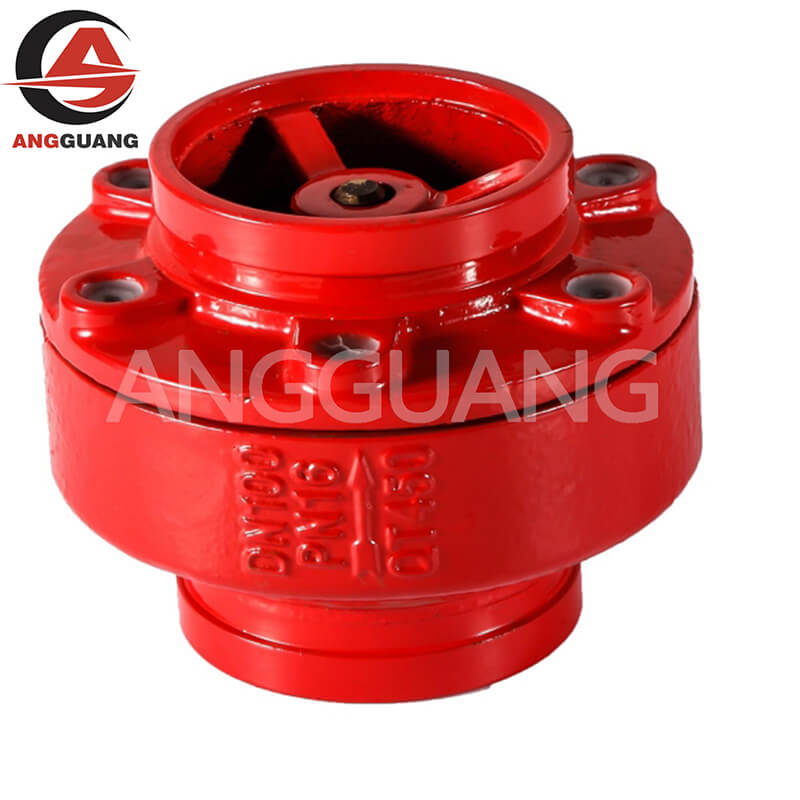Check Valve