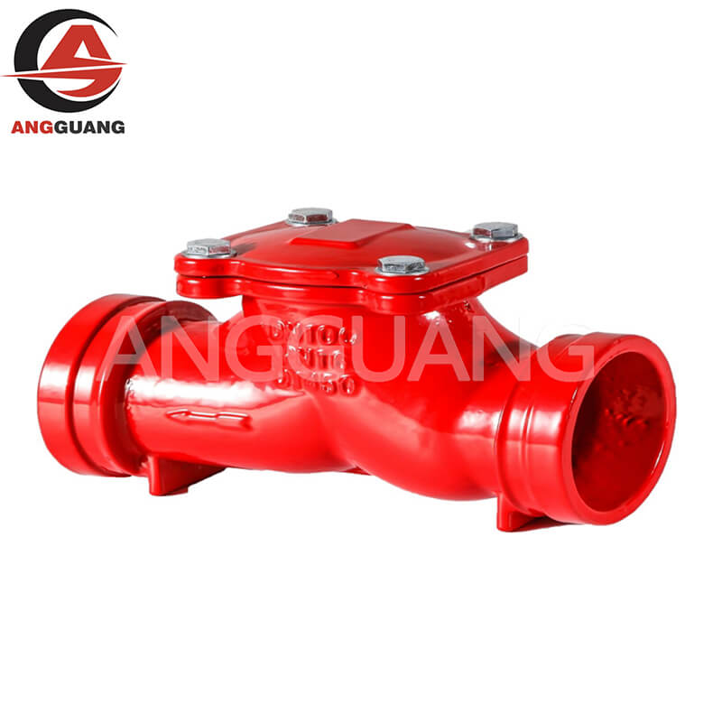 Check Valve