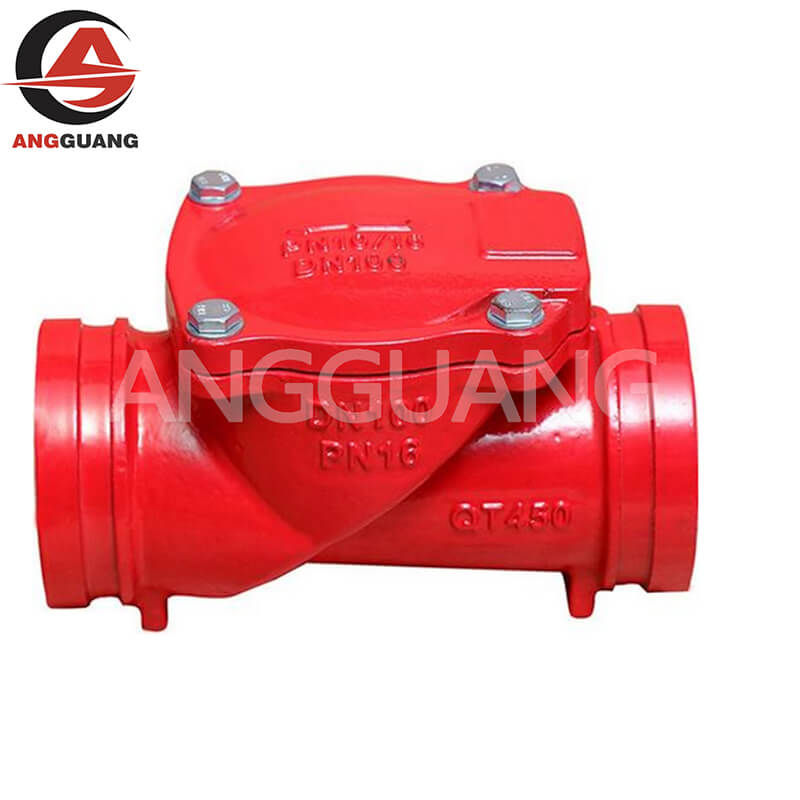 Check Valve