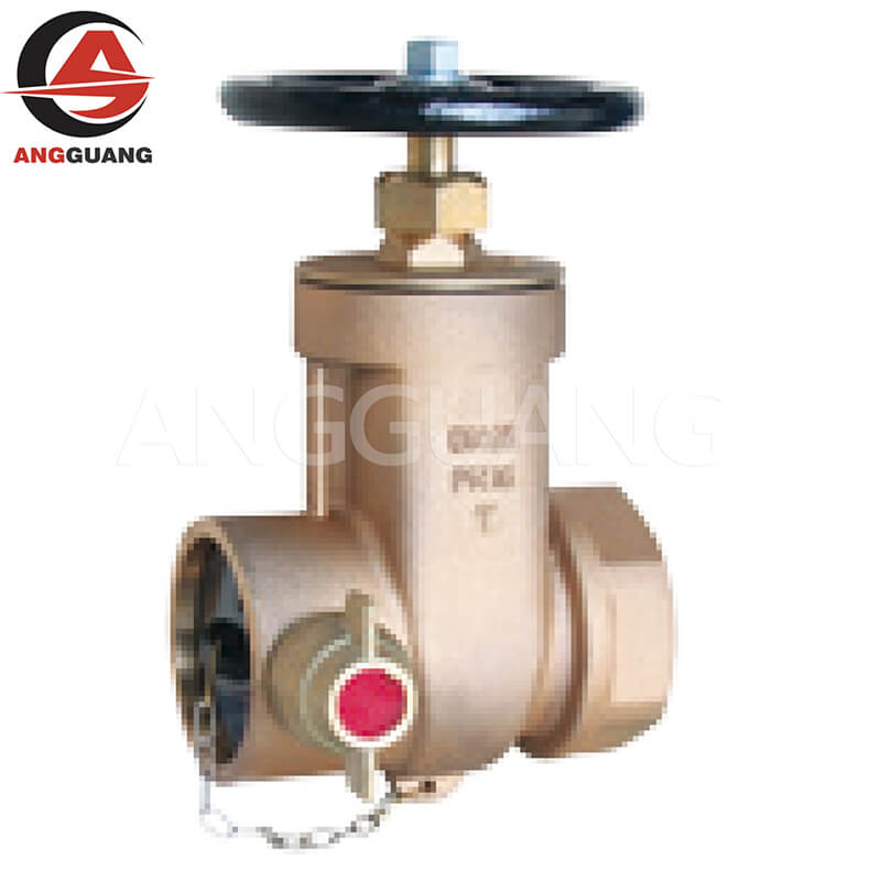 Indoor fire hydrant