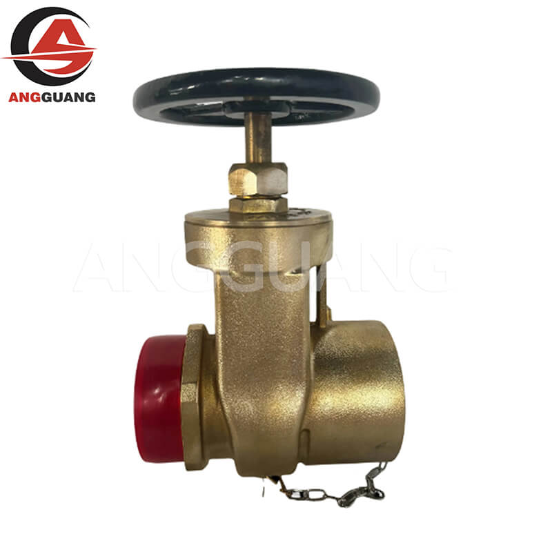 Indoor fire hydrant