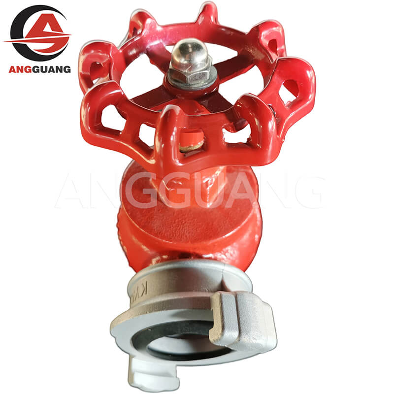 Russian indoor fire hydrant