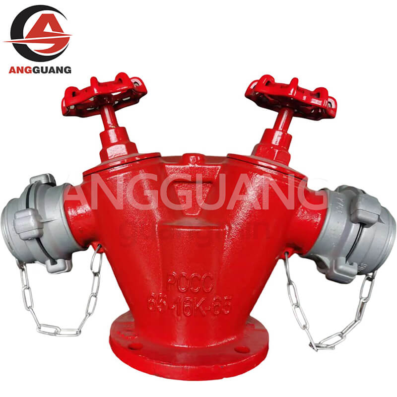 Dual outlet indoor fire hydrant