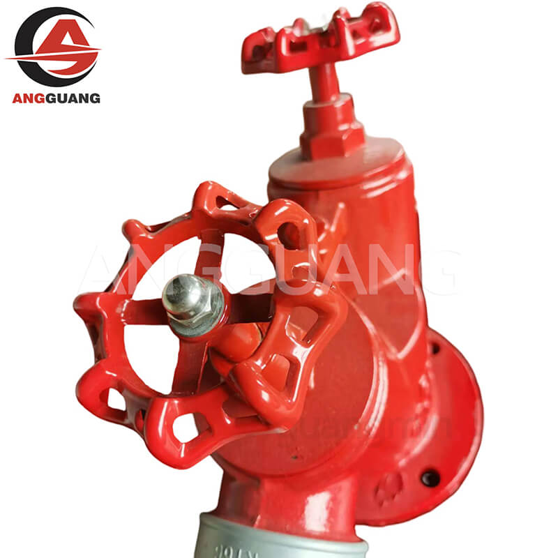 Dual outlet indoor fire hydrant