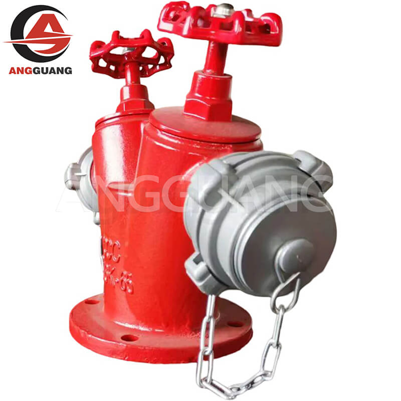 Dual outlet indoor fire hydrant