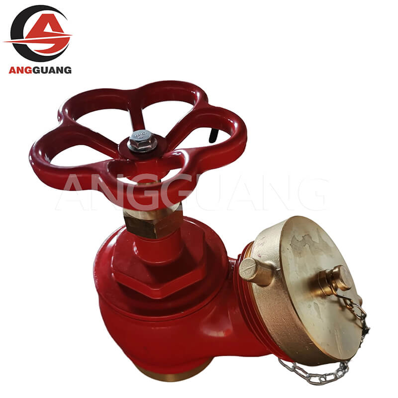 American indoor fire hydrant