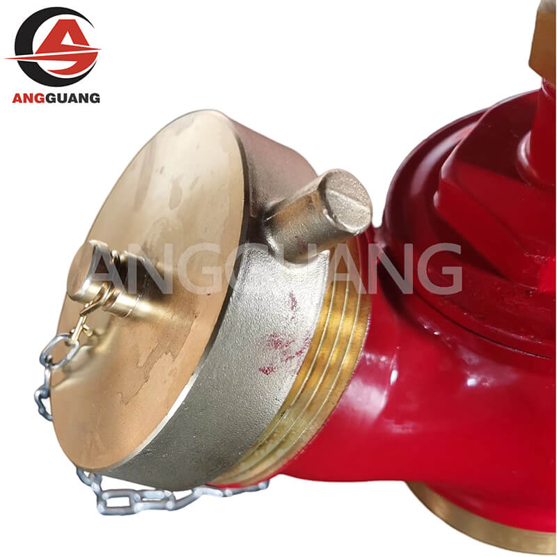 American indoor fire hydrant
