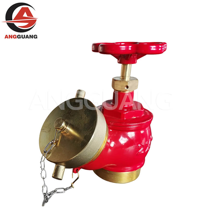 American indoor fire hydrant